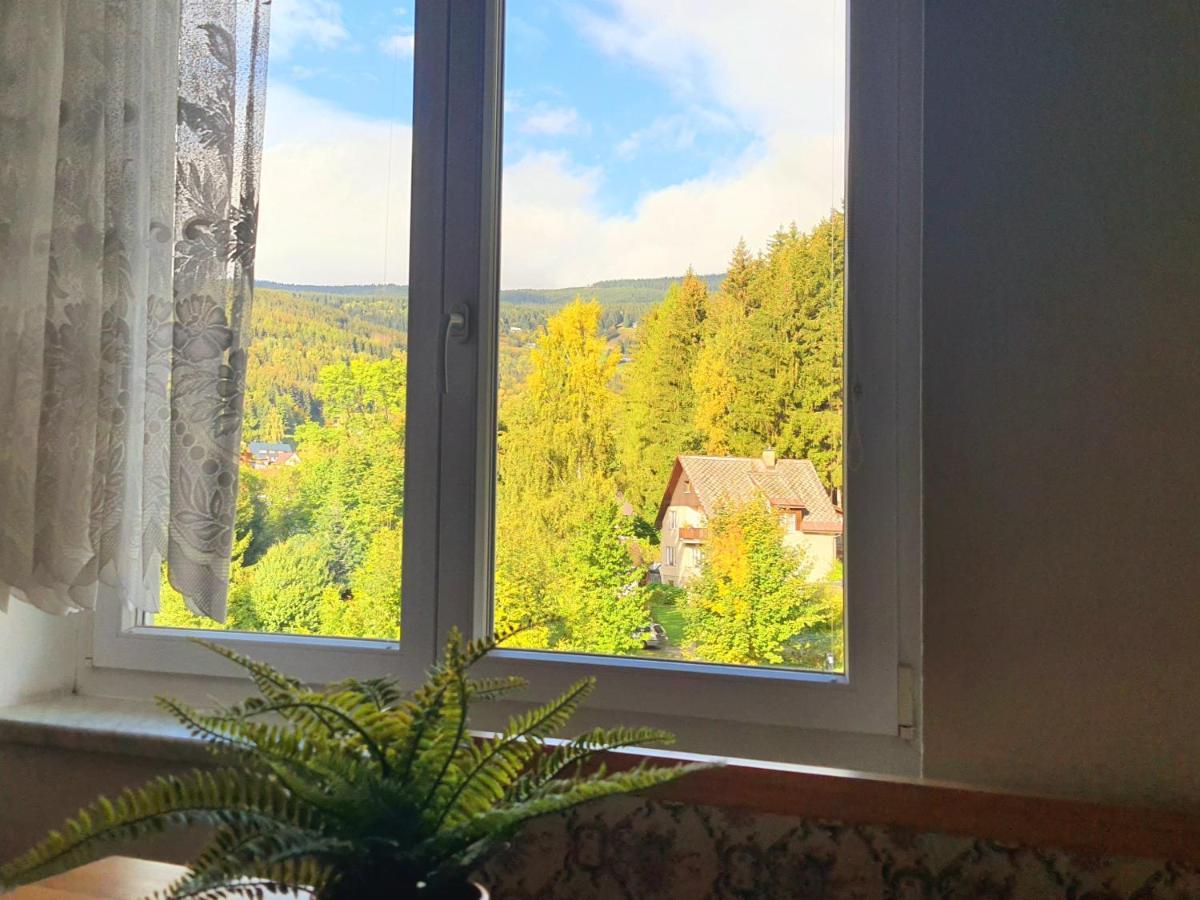 Rokytnice U Vleku Rokytnice nad Jizerou Dış mekan fotoğraf